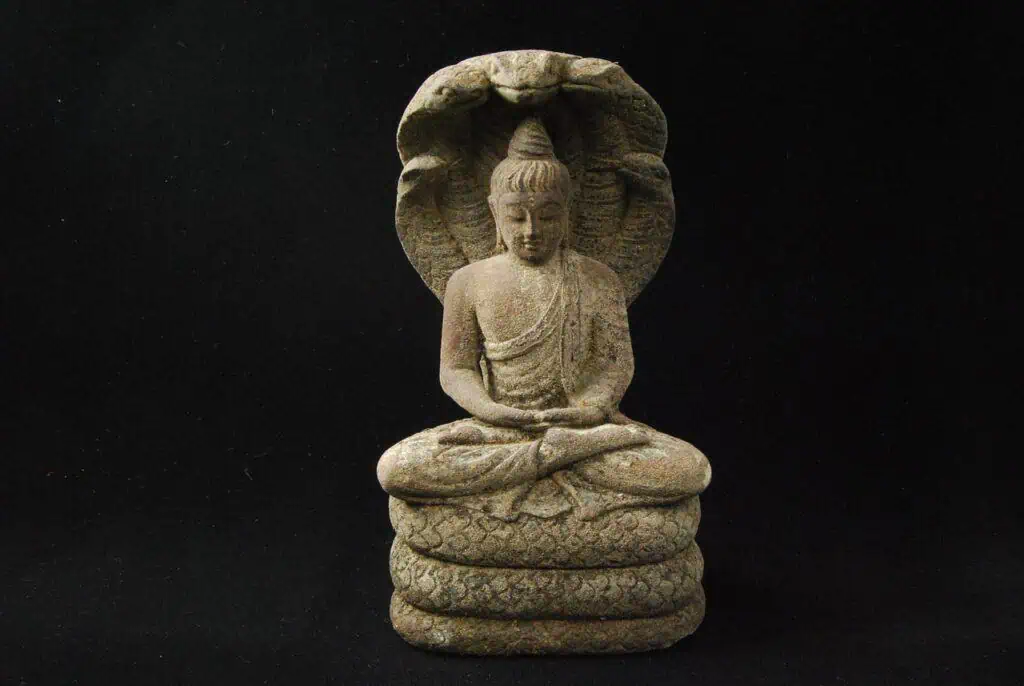 Buddha Nagas